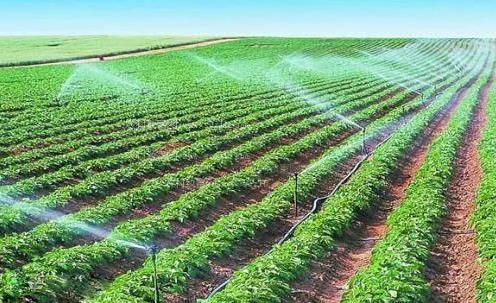 啊!草逼视频农田高 效节水灌溉
